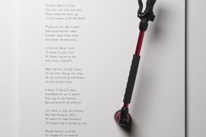 Shane's Poems