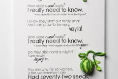 Seeds