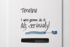 Timeline